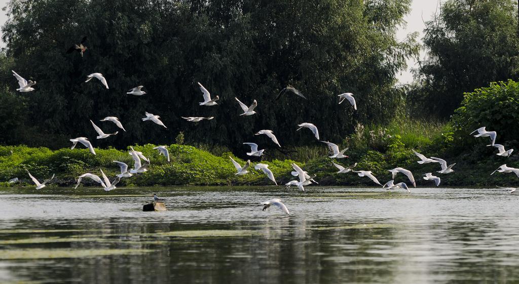 Vila Delta Travel - Mila 23 Mila Douăzeci şi Trei Zewnętrze zdjęcie