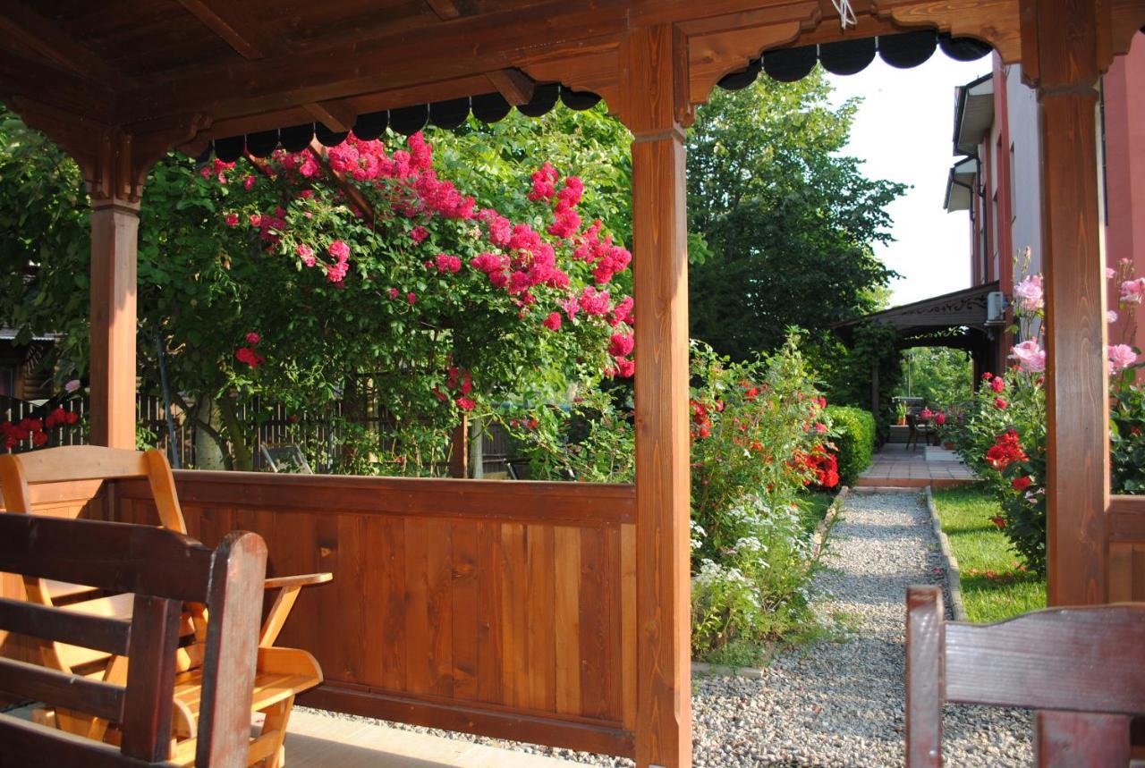 Vila Delta Travel - Mila 23 Mila Douăzeci şi Trei Zewnętrze zdjęcie