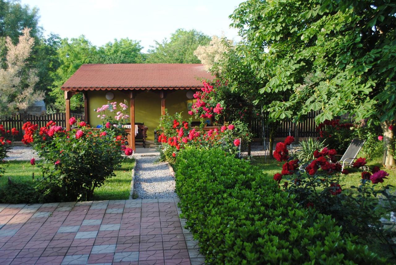 Vila Delta Travel - Mila 23 Mila Douăzeci şi Trei Zewnętrze zdjęcie